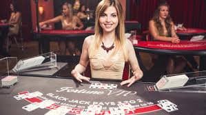 337bet